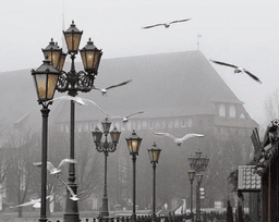 Запрос на осмотр