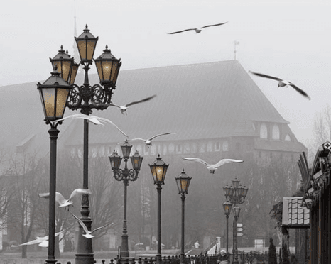 Запрос на осмотр